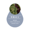 洞見精油成分